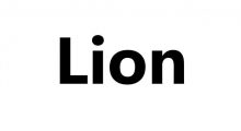 Ремонт Lion